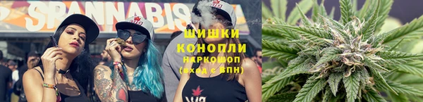 стаф Приозерск