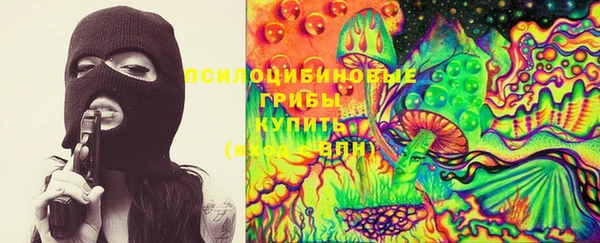 стаф Приозерск