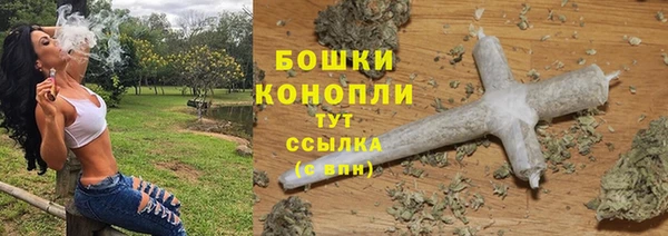 стаф Приозерск