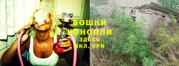 мяу мяу кристалл Пионерский