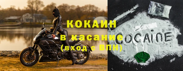 мяу мяу кристалл Пионерский