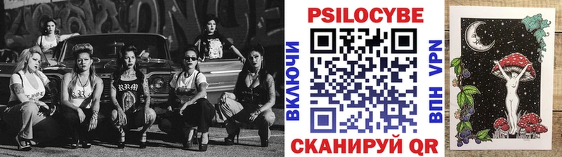 Псилоцибиновые грибы Psilocybe  Ростов 