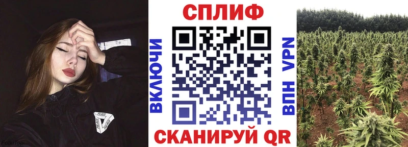 Каннабис Amnesia  OMG рабочий сайт  Ростов 